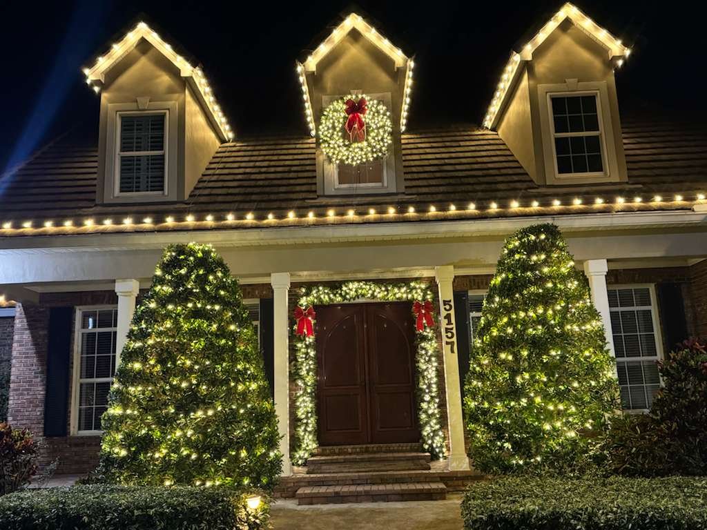 Northern Lights Florida lighting project 02